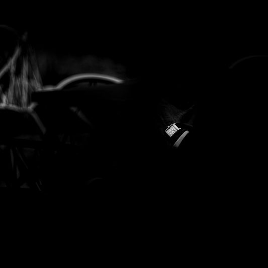 Silhouettes of a dark, unknown environment.