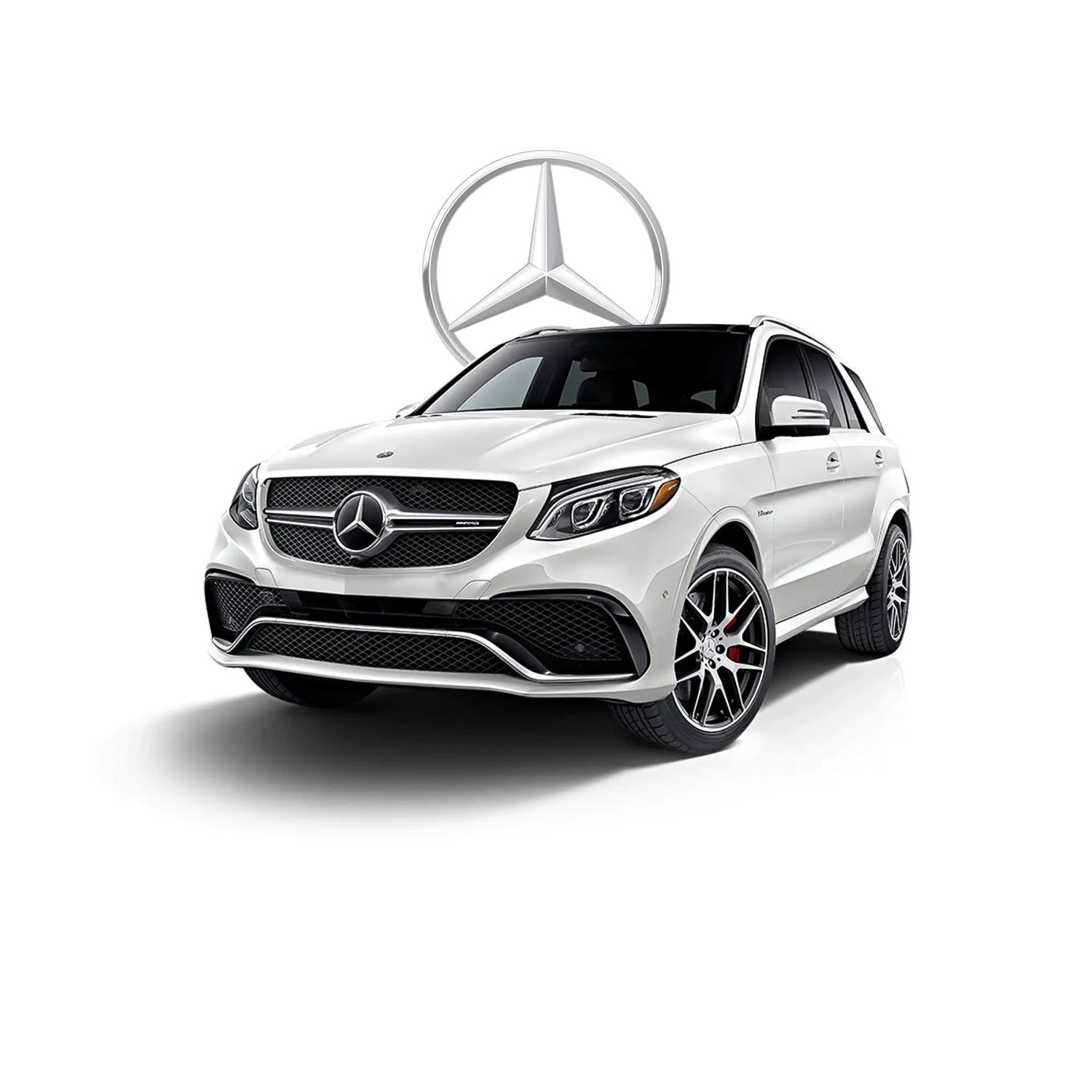 Mercedes - Multigenus