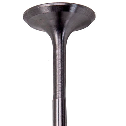16x Ventile Auslassventil für Audi A1 A2 A3 für VW Beetle Eos Golf 036109601S