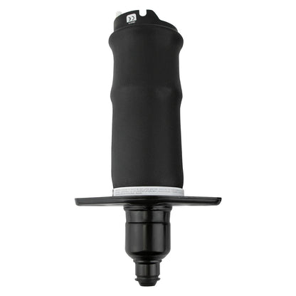 2 airbag a sospensione posteriore Audi A6 C5 4B Allroad Quattro