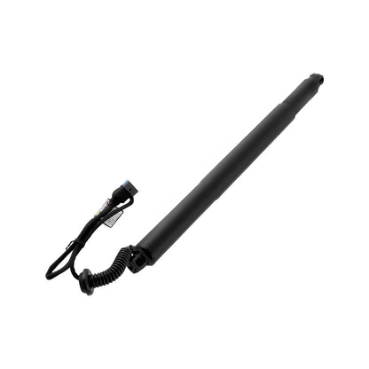 HECKKLAPPE STRUT HINTEN LINKS ELEKTRO AUTO BOOT GAS ANTRIEB Für BMW X6 F16 F86 14-2019