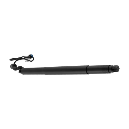 HECKKLAPPE STRUT HINTEN LINKS ELEKTRO AUTO BOOT GAS ANTRIEB Für BMW X6 F16 F86 14-2019