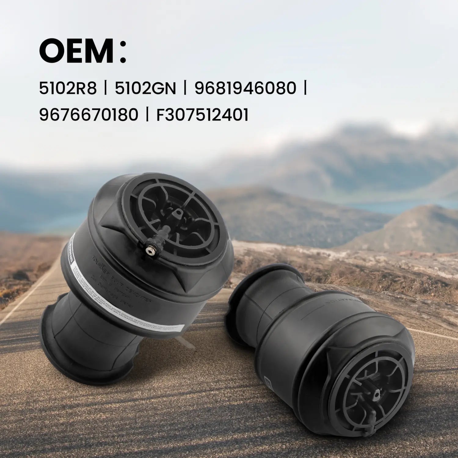 Rear Air Ride Suspension Spring Bags For Citroen C4 Picasso 5102GN 5102R8 Pair