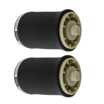 Air Suspension Spring Set Rear Left and Right For BMW X5 E53